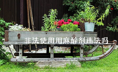 非法使用用麻醉剂违法吗