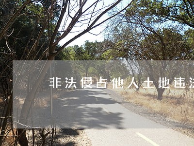 非法侵占他人土地违法建房子 非法侵占他人土地违法建房子