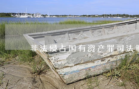 非法侵占国有资产罪司法解释 非法侵占国有资产罪司法解释