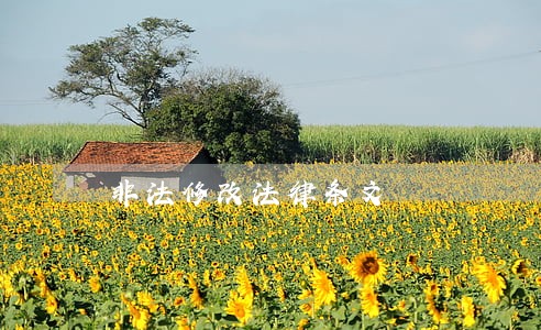 非法修改法律条文
