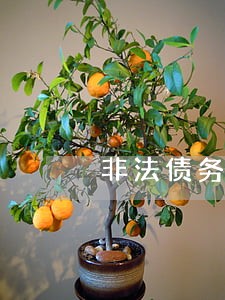 非法债务律师免费咨询 非法债务律师免费咨询