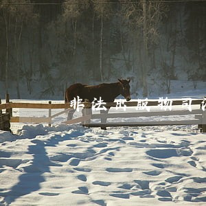 非法出版物司法解释标准 非法出版物司法解释标准