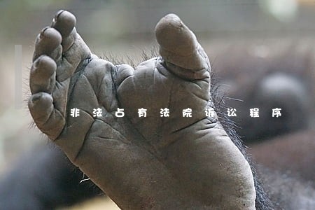 非法占有法院诉讼程序 非法占有法院诉讼程序