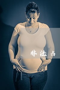 非法占有的民法法律后果 非法占有的民法法律后果