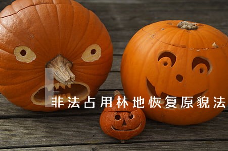 非法占用林地恢复原貌法律条文
