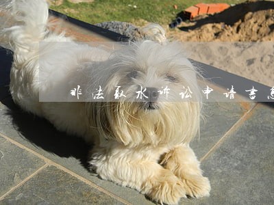 非法取水诉讼申请书怎么写 非法取水诉讼申请书怎么写