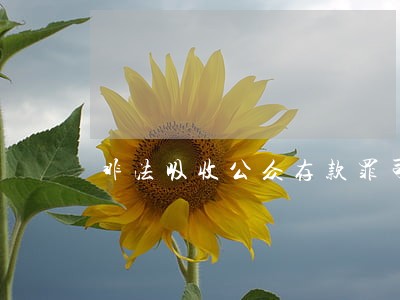 非法吸收公众存款罪司法流程 非法吸收公众存款罪司法流程