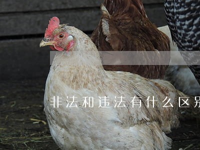 非法和违法有什么区别举例子 非法和违法有什么区别举例子