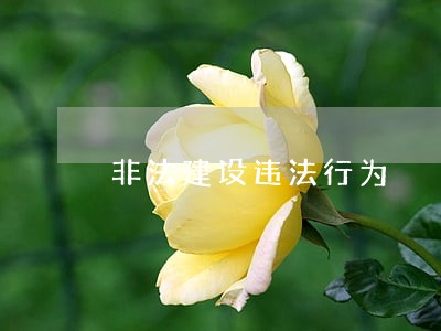 非法建设违法行为 非法建设违法行为