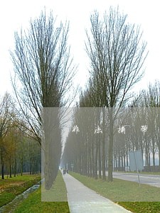 非法捕带水产品公益诉讼
