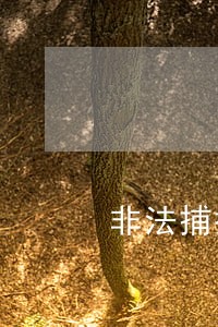 非法捕捞公益诉讼刑附民 非法捕捞公益诉讼刑附民