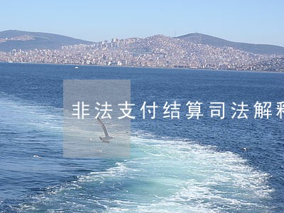 非法支付结算司法解释 非法支付结算司法解释