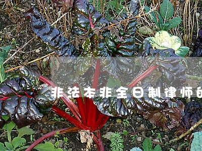 非法本非全日制律师的重要性