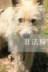 非法狩猎罪鸟类司法解释