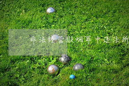 非法经营假烟罪中违法所得认定