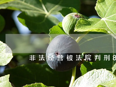 非法经营被法院判刑8个月