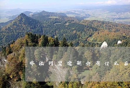 非法网贷逾期会有什么后果