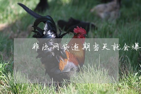 非法网贷逾期当天就会爆通讯录吗 非法网贷逾期当天就会爆通讯录吗