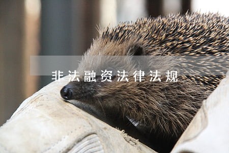 非法融资法律法规