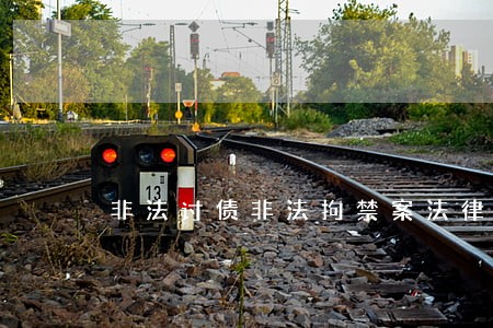 非法讨债非法拘禁案法律意见书 非法讨债非法拘禁案法律意见书