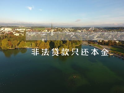 非法贷款只还本金 非法贷款只还本金
