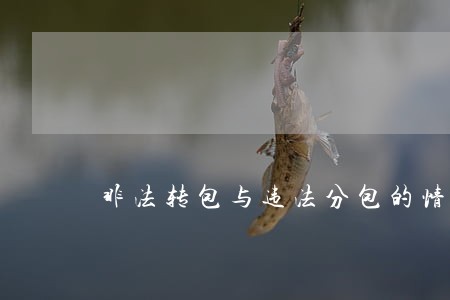 非法转包与违法分包的情形 非法转包与违法分包的情形