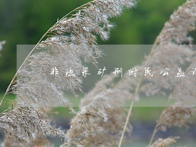 非法采矿刑附民公益诉讼