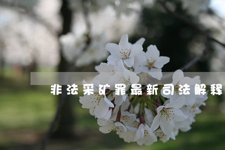 非法采矿罪最新司法解释 非法采矿罪最新司法解释