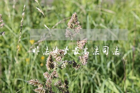 非法集资最高法司法 非法集资最高法司法
