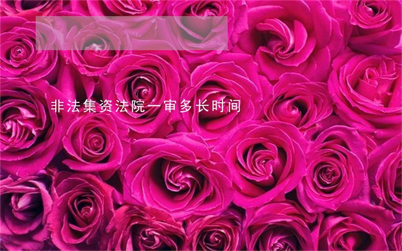 非法集资法院一审多长时间
