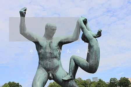 非洲人移民法国 非洲人移民法国