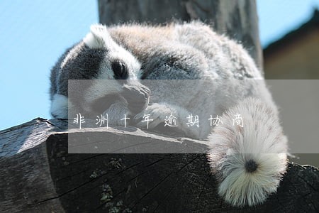 非洲十年逾期协商 非洲十年逾期协商