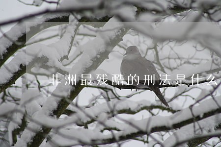 非洲最残酷的刑法是什么 非洲最残酷的刑法是什么