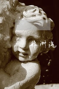 非洲汽车法规 非洲汽车法规