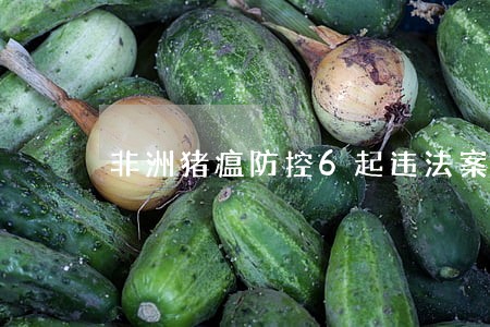 非洲猪瘟防控6起违法案件被通报 非洲猪瘟防控6起违法案件被通报