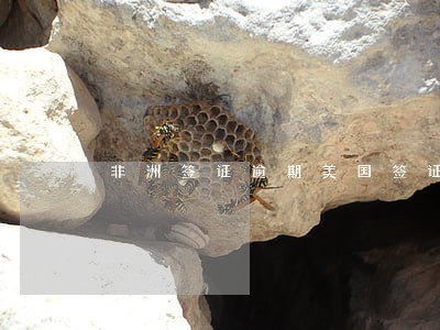 非洲签证逾期美国签证 非洲签证逾期美国签证