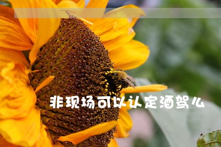 非现场可以认定酒驾么 非现场可以认定酒驾么