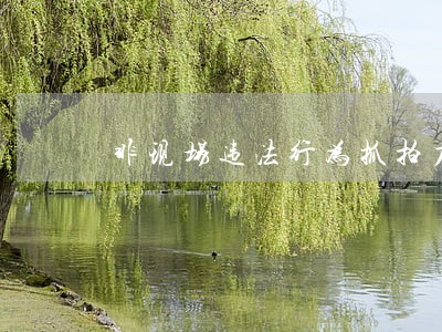 非现场违法行为抓拍力度 非现场违法行为抓拍力度