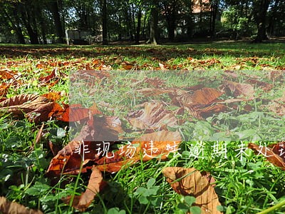 非现场违法逾期未处理 非现场违法逾期未处理