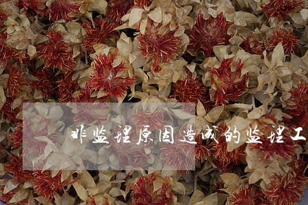 非监理原因造成的监理工作逾期 非监理原因造成的监理工作逾期