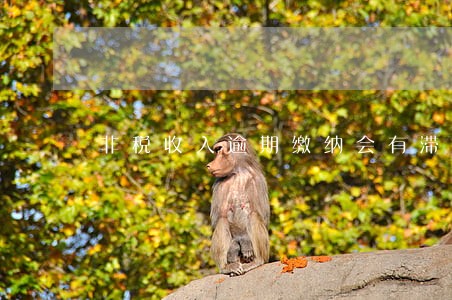 非税收入逾期缴纳会有滞纳金吗 非税收入逾期缴纳会有滞纳金吗