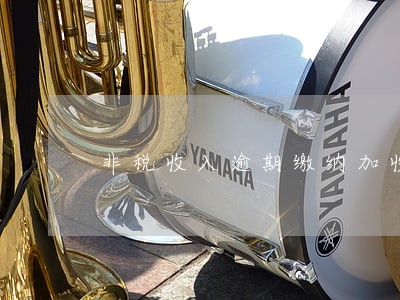 非税收入逾期缴纳加收滞纳金