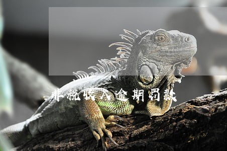 非税收入逾期罚款