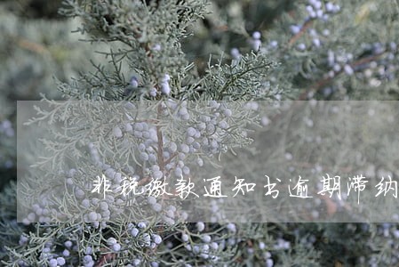 非税缴款通知书逾期滞纳金 非税缴款通知书逾期滞纳金