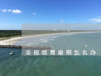 非税缴费逾期怎么办