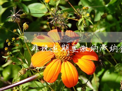非税逾期要缴纳滞纳金吗 非税逾期要缴纳滞纳金吗