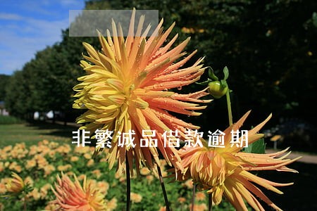 非繁诚品借款逾期