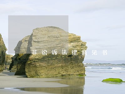 非讼诉法律意见书 非讼诉法律意见书