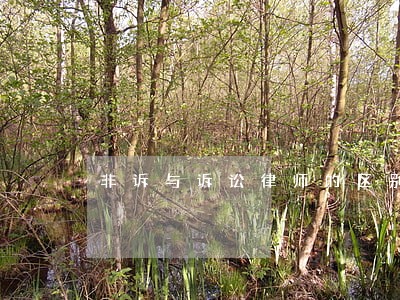 非诉与诉讼律师的区别 非诉与诉讼律师的区别