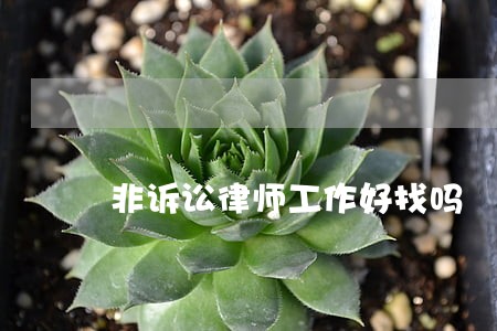 非诉讼律师工作好找吗 非诉讼律师工作好找吗
